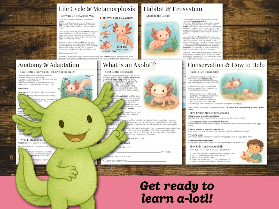 Five sample lesson pages from the Axolotl Unit Study ('Life Cycle & Metamorphosis', 'Habitat & Ecosystem', 'Anatomy & Adaptation', 'What is an Axolotl?' and 'Conservation & How to Help'), with a smiling green axolotl and the banner 'Get ready to learn a-lotl!'