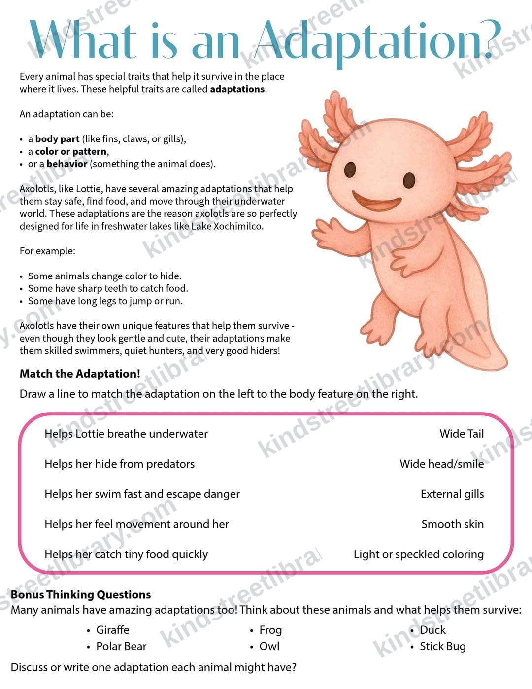 Science page 'What is an Adaptation?' with a draw-a-line matching activity connecting Lottie's features to how they help her survive