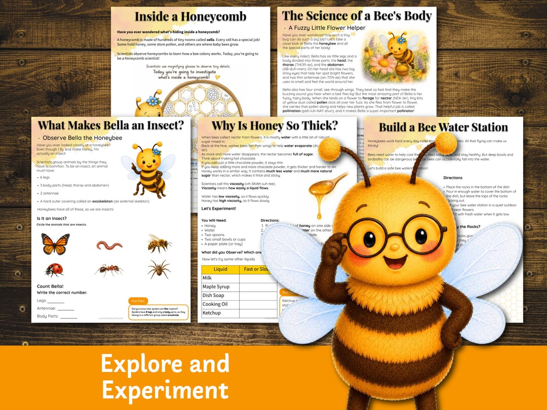 Hands-on science pages: 'Inside a Honeycomb', 'The Science of a Bee's Body', 'What Makes Bella an Insect?', the 'Why Is Honey So Thick?' viscosity experiment, and 'Build a Bee Water Station'